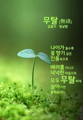 관우성님의 자유주제 · 자유게시판 작성글 사진