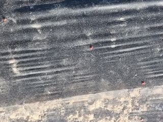 영애님의 자유주제 · 자유게시판 작성글 사진