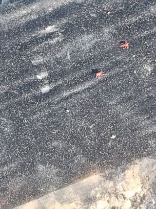 영애님의 자유주제 · 자유게시판 작성글 사진