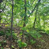 팜모닝 자유주제·자유게시판 게시글 이미지