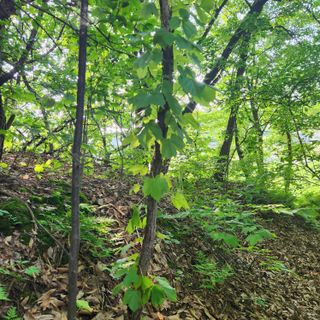 들깨님의 자유주제 · 자유게시판 작성글 사진