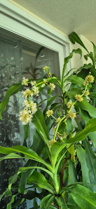 친정집같은언니님의 팜이웃과 출근/퇴근 같이해요!·참여글 작성글 사진