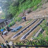 짱순이연속8월출석왕님의 팜이웃과 출근/퇴근 같이해요!·참여글 작성글 사진