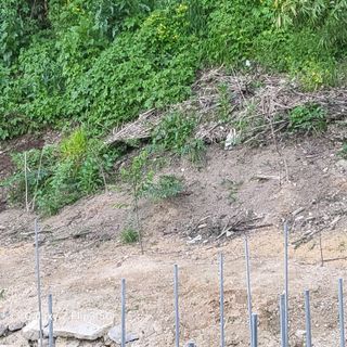 짱순이연속8월출석왕님의 팜이웃과 출근/퇴근 같이해요! · 참여글 작성글 사진