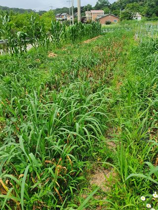 김인권님의 배 · 일상 작성글 사진