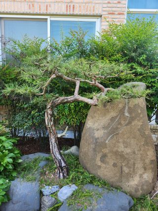 김상임님의 작성글 사진