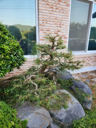 김상임님의 작성글 사진