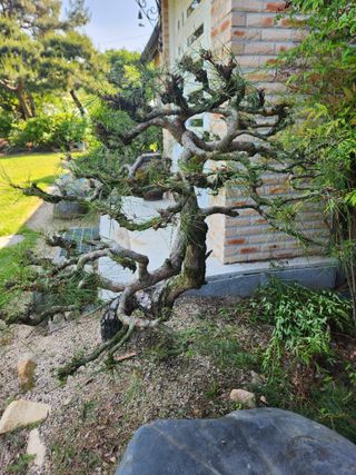 김상임님의 작성글 사진