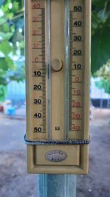 팜모닝 포도·영농일지 게시글 이미지