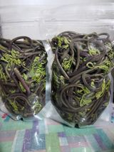 팜모닝 자유주제·자유게시판 게시글 이미지