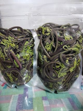 임태빈탑정호주말농장님의 자유주제 · 자유게시판 작성글 사진