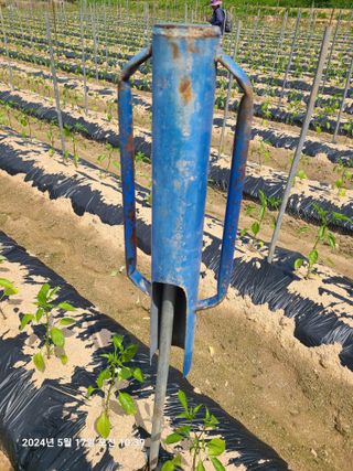 고추농사 25414님의 자유주제 · 자유게시판 작성글 사진