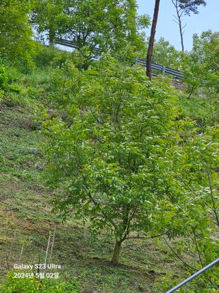 강성열님의 기타작물 · 영농일지 작성글 사진
