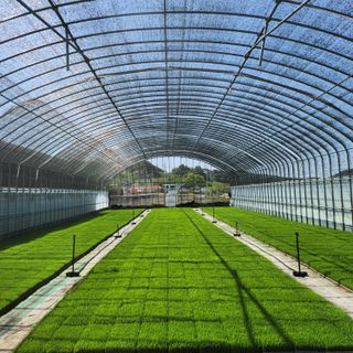 소담농장님의 농사, 무엇이든 물어보세요! · 참여글 작성글 사진