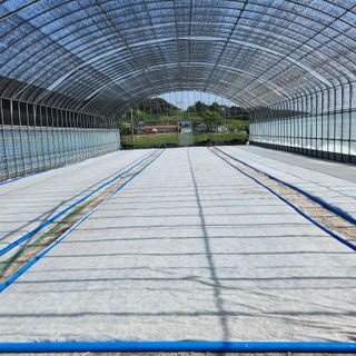 소담농장님의 농사, 무엇이든 물어보세요! · 참여글 작성글 사진