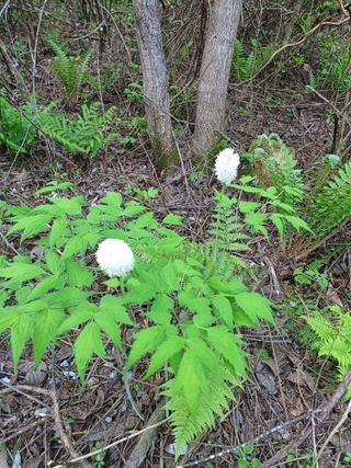 김선자님의 자유주제 · 자유게시판 작성글 사진