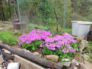 김선자님의 자유주제 · 자유게시판 작성글 사진