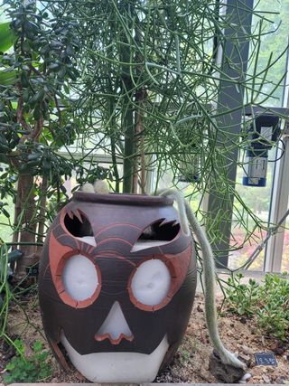 김선자님의 자유주제 · 자유게시판 작성글 사진