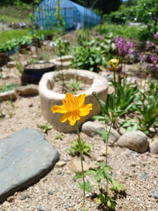 김선자님의 자유주제 · 자유게시판 작성글 사진