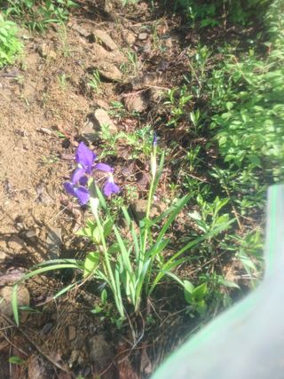 김선자님의 자유주제 · 자유게시판 작성글 사진