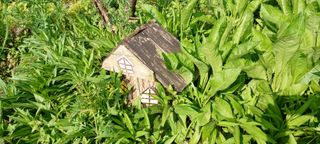 보령 게으른농부님의 팜이웃과 출근/퇴근 같이해요! · 참여글 작성글 사진