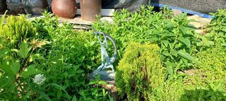 보령 게으른농부님의 팜이웃과 출근/퇴근 같이해요! · 참여글 작성글 사진