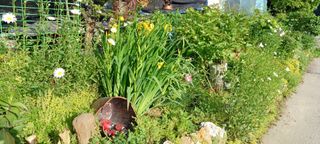 보령 게으른농부님의 팜이웃과 출근/퇴근 같이해요! · 참여글 작성글 사진