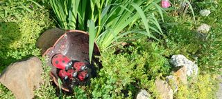 보령 게으른농부님의 팜이웃과 출근/퇴근 같이해요! · 참여글 작성글 사진