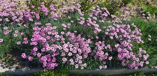 정주님의 자유주제 · 자유게시판 작성글 사진