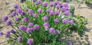 정주님의 자유주제 · 자유게시판 작성글 사진