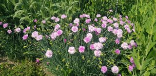 정주님의 자유주제 · 자유게시판 작성글 사진