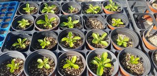 정주님의 자유주제 · 자유게시판 작성글 사진