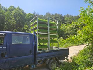 난목말라님의 자유주제 · 자유게시판 작성글 사진