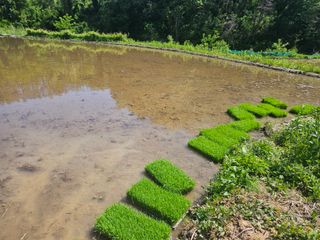 난목말라님의 자유주제 · 자유게시판 작성글 사진