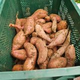 팜모닝 자유주제·사진전 게시글 이미지