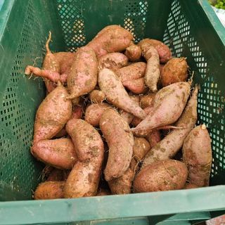 서진호님의 자유주제 · 사진전 작성글 사진