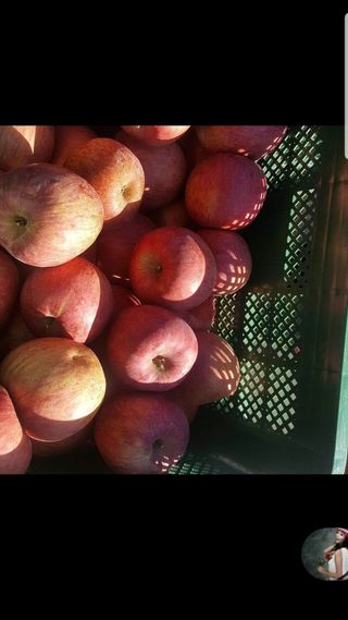 서진호님의 자유주제 · 자유게시판 작성글 사진