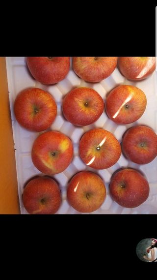 서진호님의 자유주제 · 자유게시판 작성글 사진