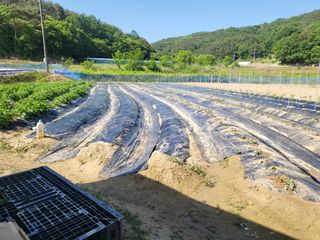 희상님의 자유주제 · 자유게시판 작성글 사진