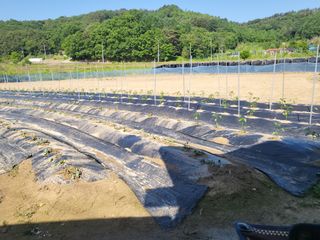 희상님의 자유주제 · 자유게시판 작성글 사진