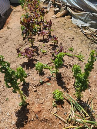 양간다리님의 자유주제 · 자유게시판 작성글 사진
