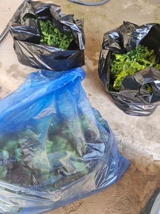 양간다리님의 자유주제 · 자유게시판 작성글 사진