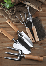 팜모닝 · 게시글 이미지