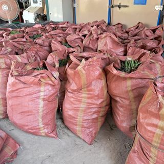 이은화님의 팜이웃과 출근/퇴근 같이해요! · 참여글 작성글 사진