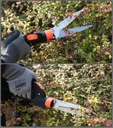 팜모닝 · 게시글 이미지