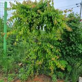 팜모닝 자유주제·자유게시판 게시글 이미지