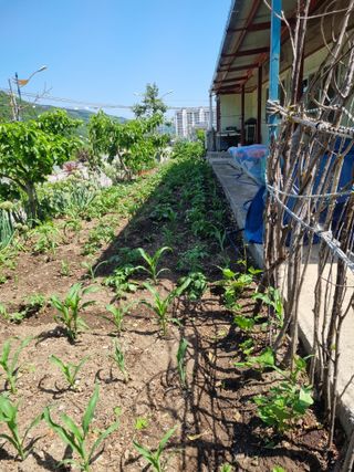 김용대님의 팜이웃과 출근/퇴근 같이해요!·참여글 작성글 사진