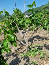 김용대님의 팜이웃과 출근/퇴근 같이해요!·참여글 작성글 사진