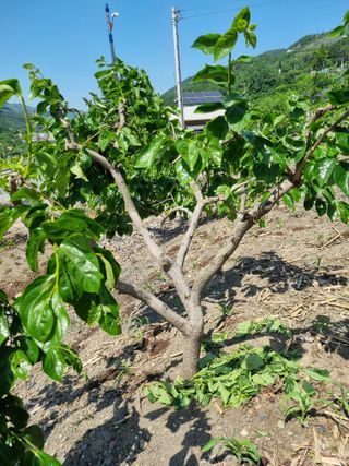 김용대님의 팜이웃과 출근/퇴근 같이해요! · 참여글 작성글 사진