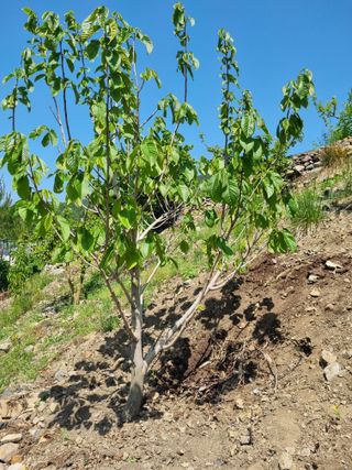 김용대님의 팜이웃과 출근/퇴근 같이해요! · 참여글 작성글 사진